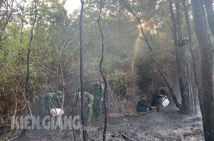 Khống chế đám cháy tại khu vực rìa Vườn quốc gia Phú Quốc